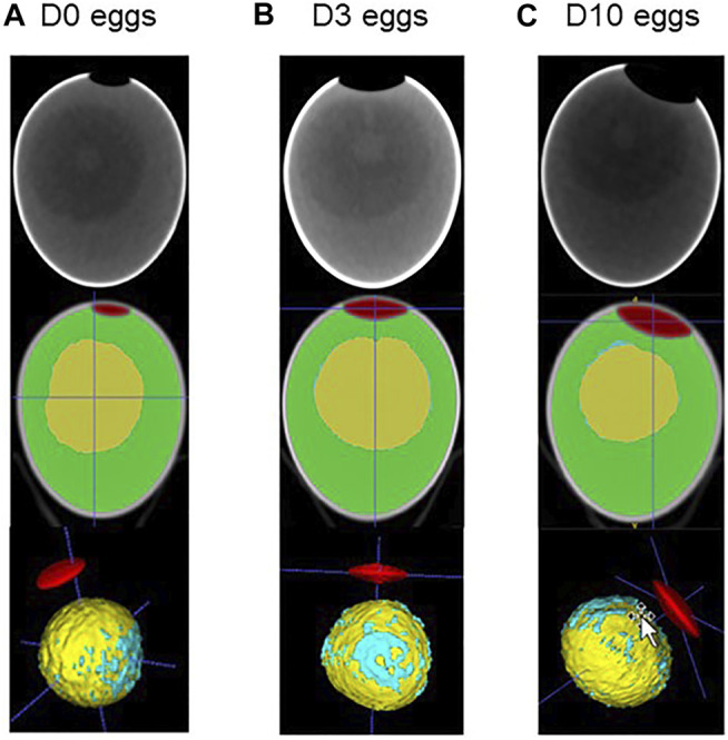 FIGURE 3