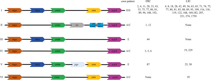 FIG 5