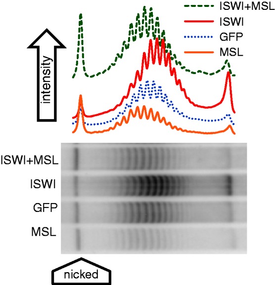 Figure 6.