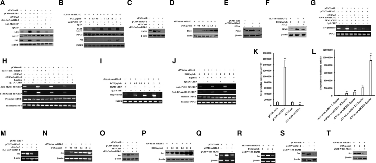 Figure 7