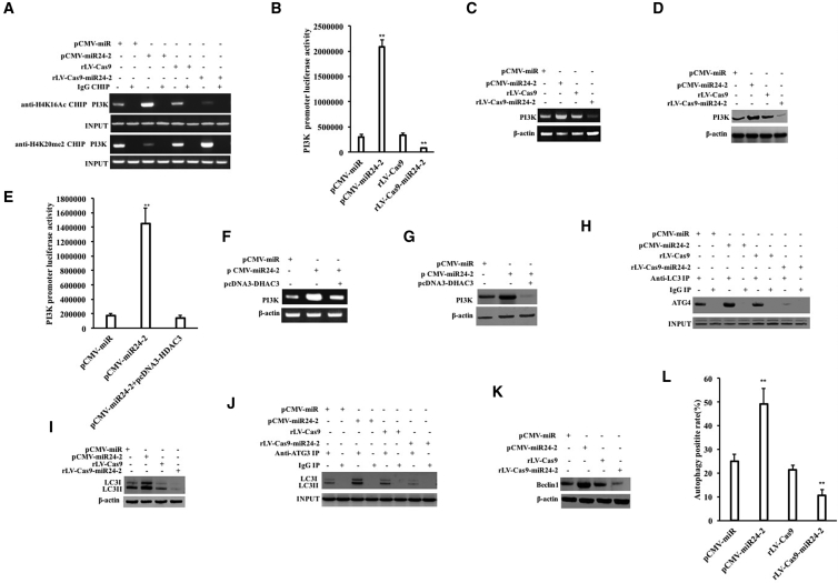 Figure 6