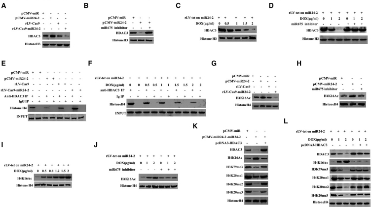 Figure 5