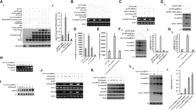 Figure 4