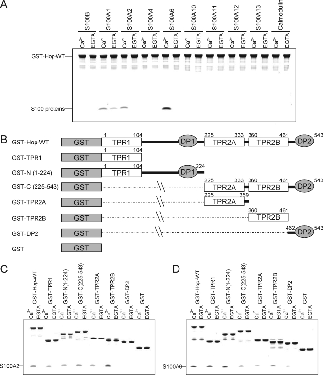 FIGURE 1.