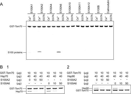 FIGURE 9.