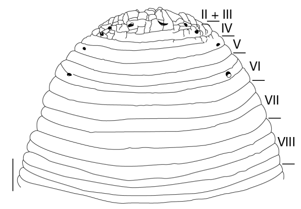 Figure 3a.