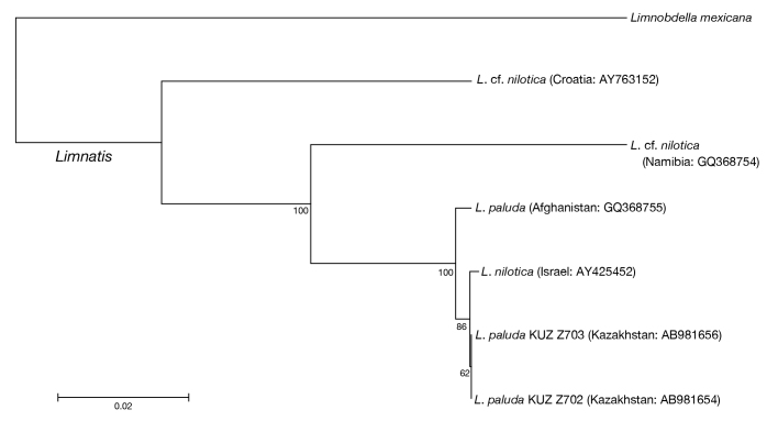 Figure 11.