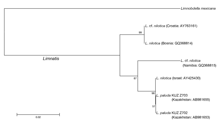 Figure 12.