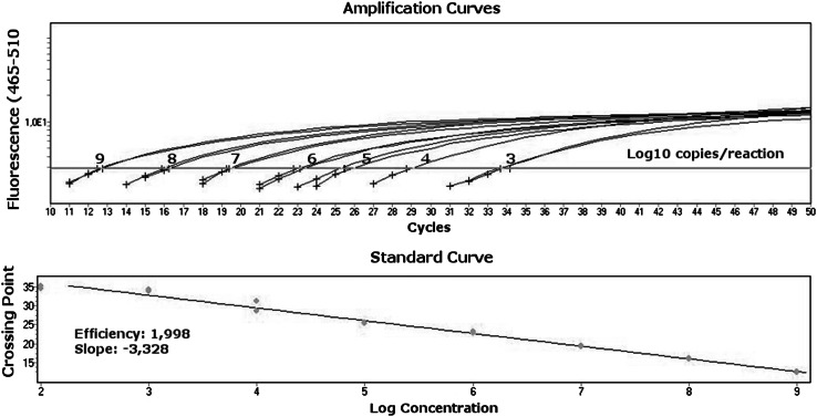 Fig. 2