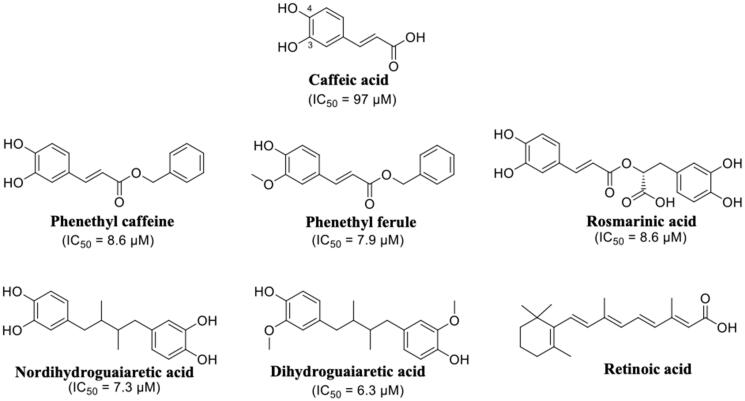 Figure 10.