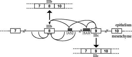 FIGURE 1.