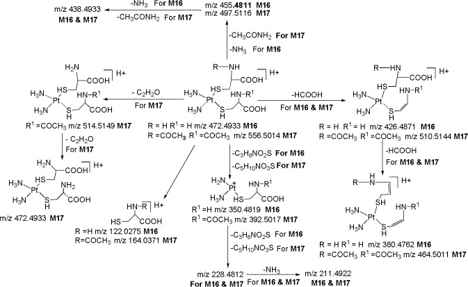 Fig 11