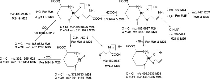 Fig 12