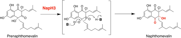 Fig. 5