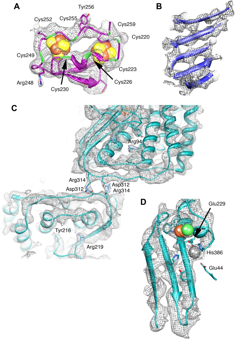 Figure 5.