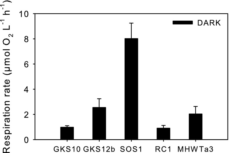 Fig. 3