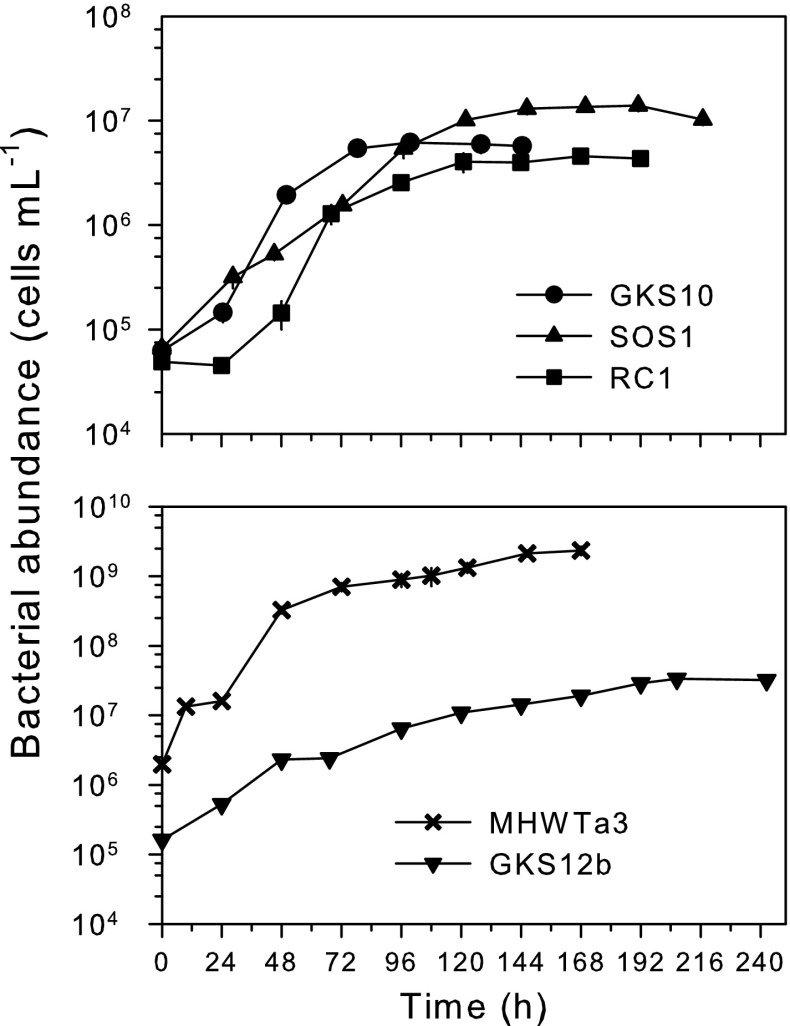 Fig. 1