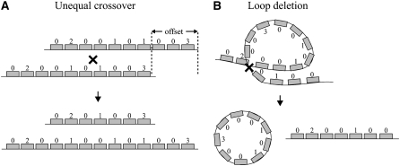 Figure 1.—