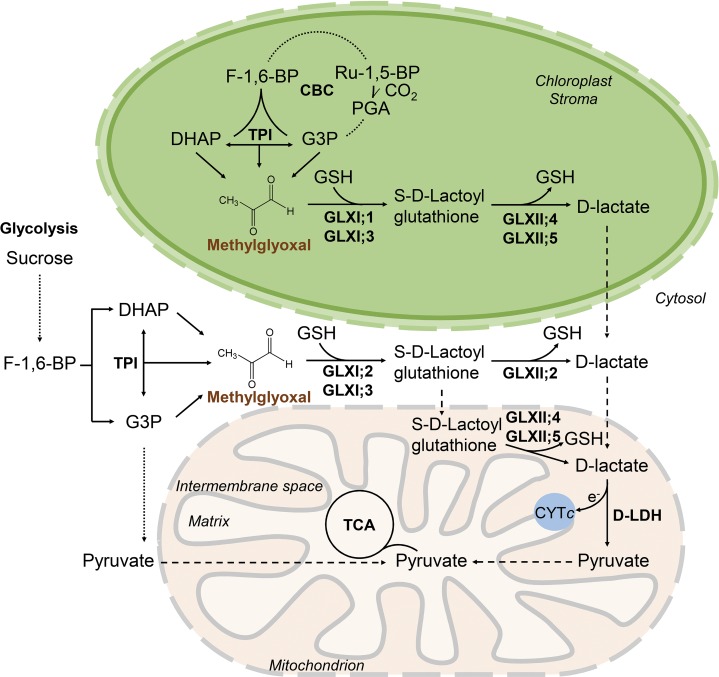 Figure 10.