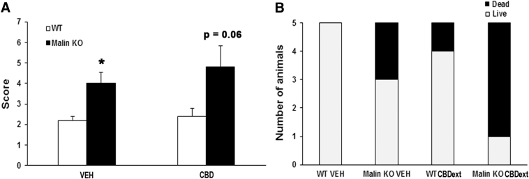 FIG. 8.