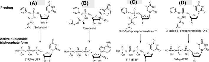 FIGURE 2