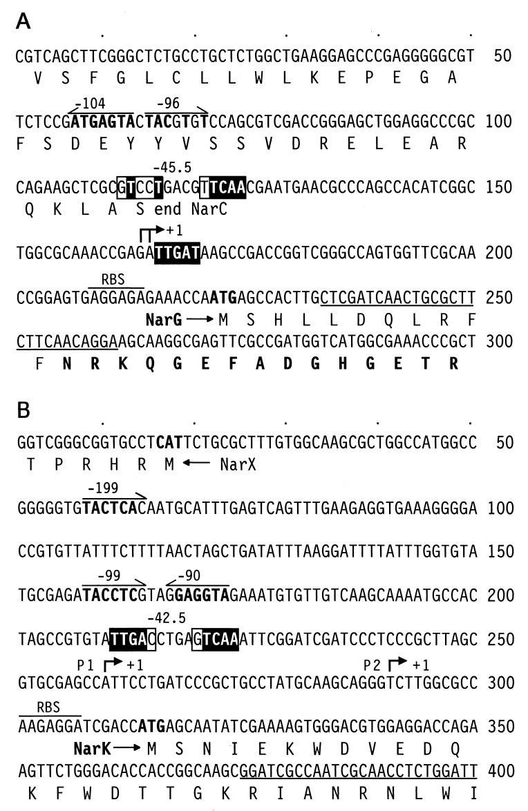 FIG. 6