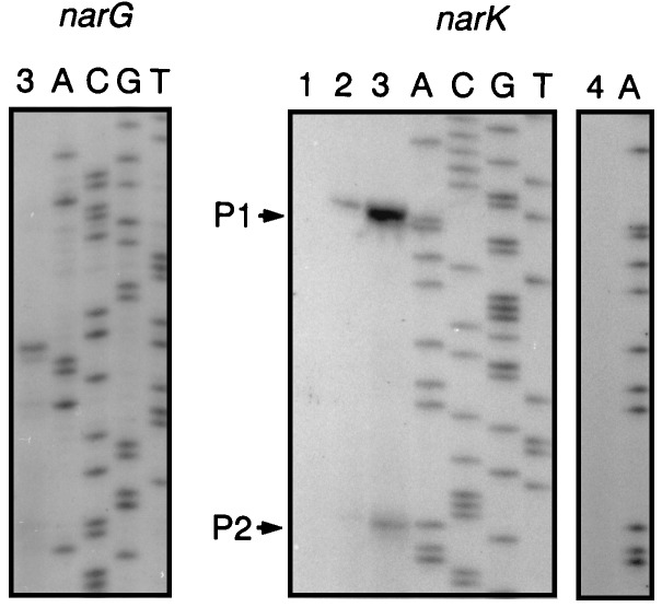 FIG. 5