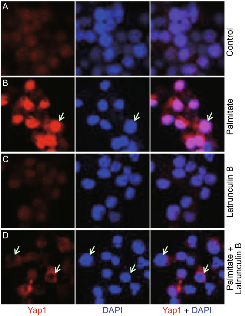 Figure 3