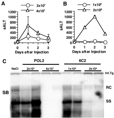 FIG. 8.