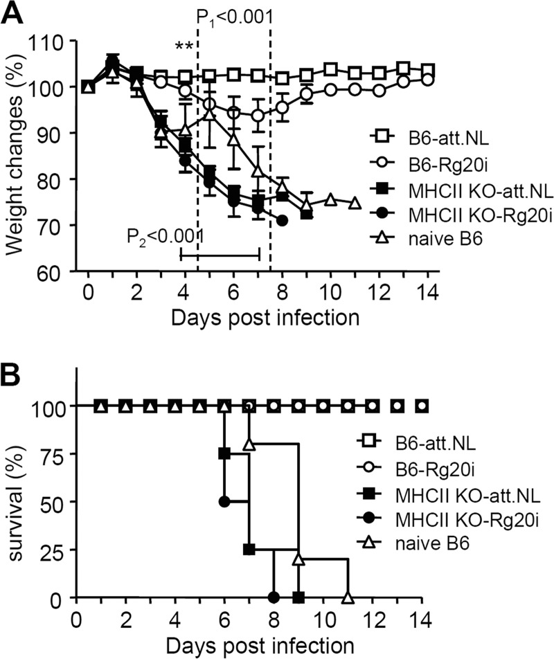 FIG 6