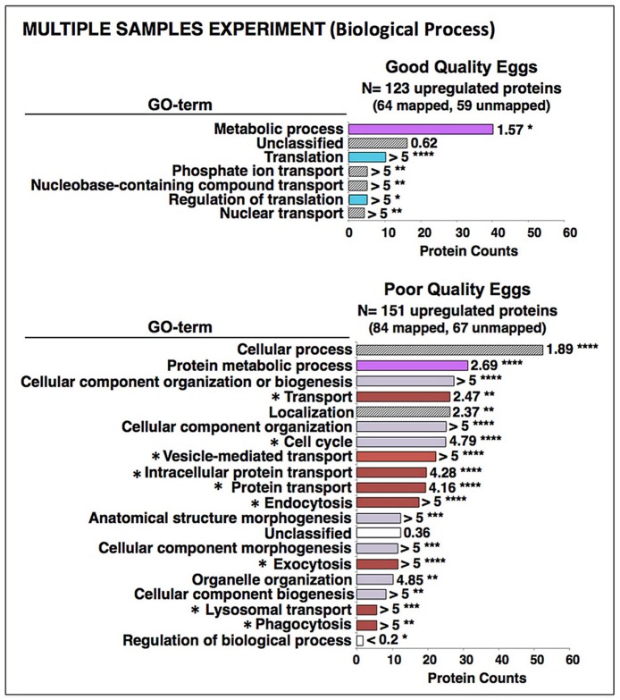 Fig 5