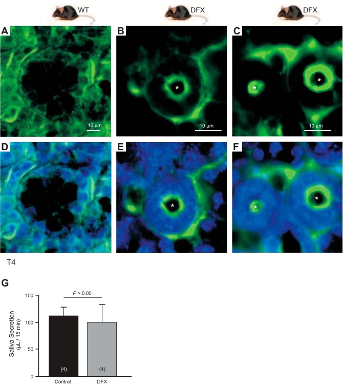 Fig. 16.