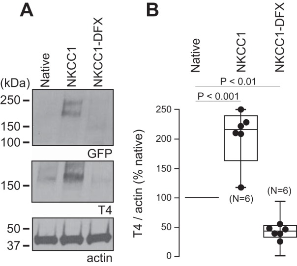 Fig. 4.