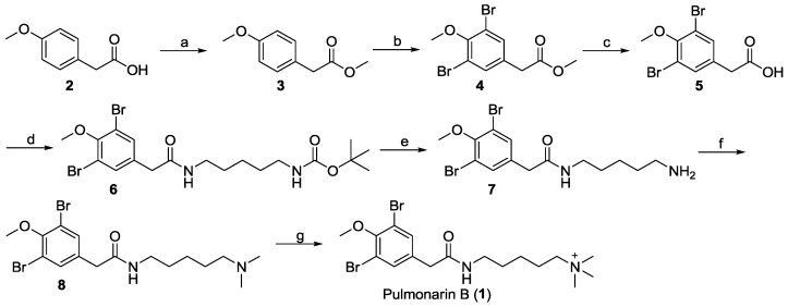 Scheme 1