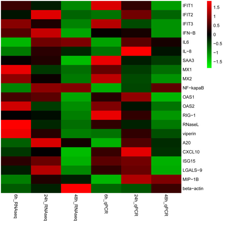 Figure 6