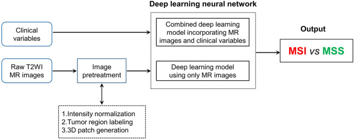 FIGURE 1