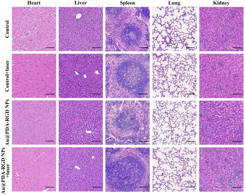 Figure 10.