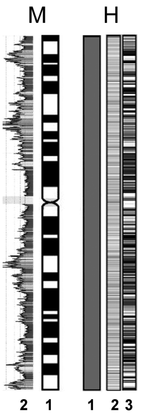 Fig. (2)