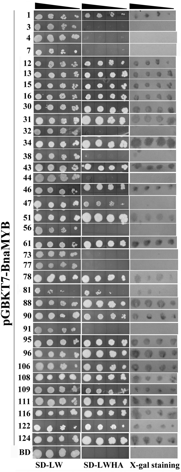 Figure 2.