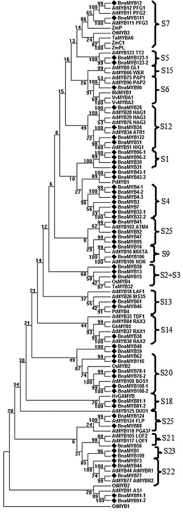 Figure 1.