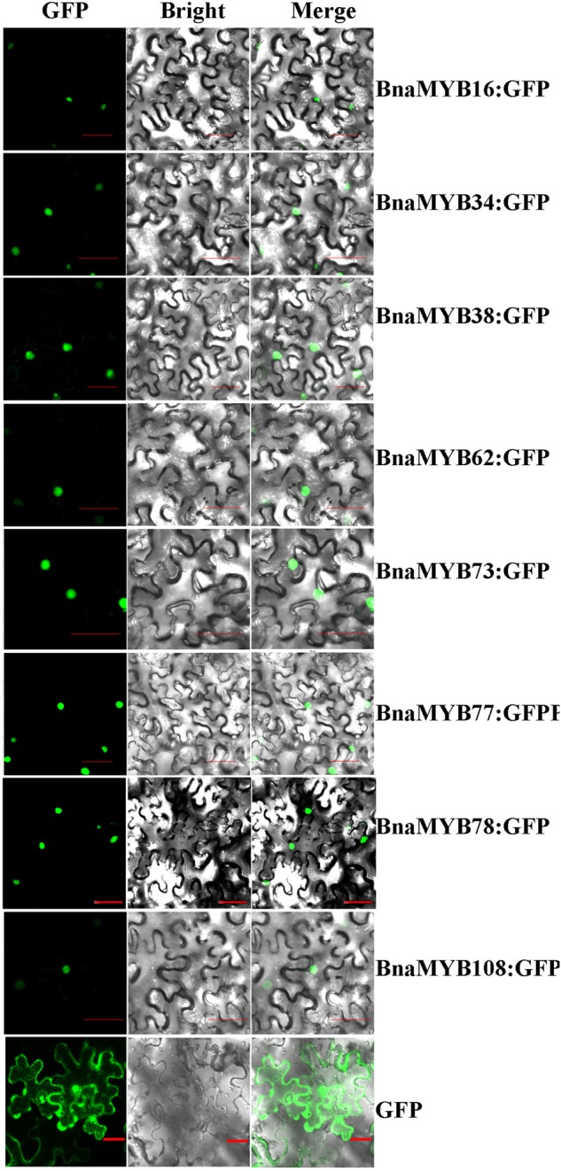 Figure 4.