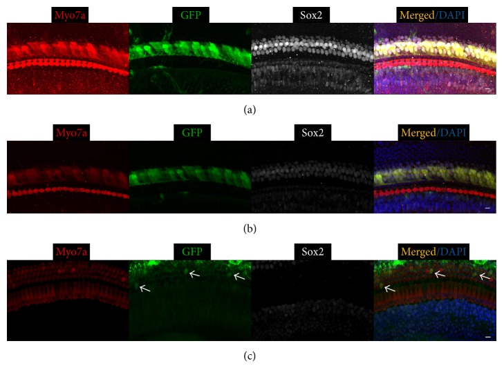 Figure 6