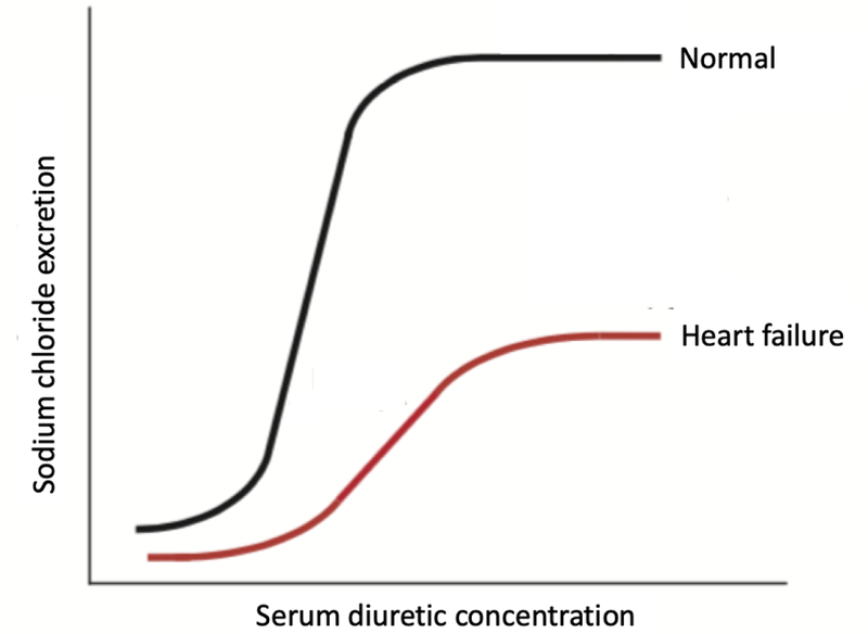 Fig 2.