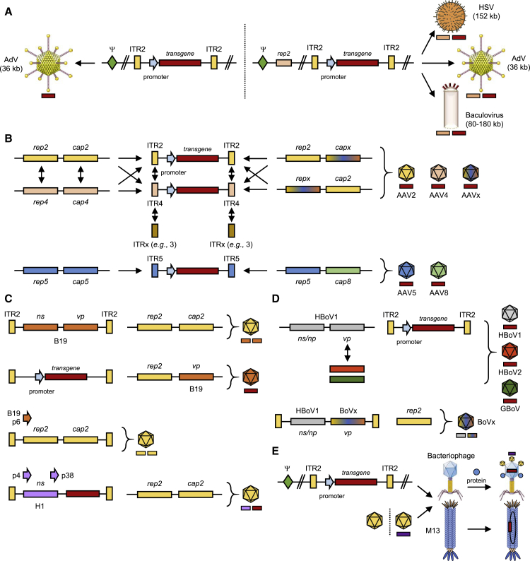 Figure 2