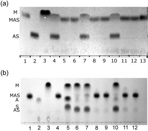 FIG. 5.