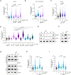 Extended Data Figure 12: