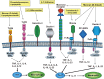 Figure 10.