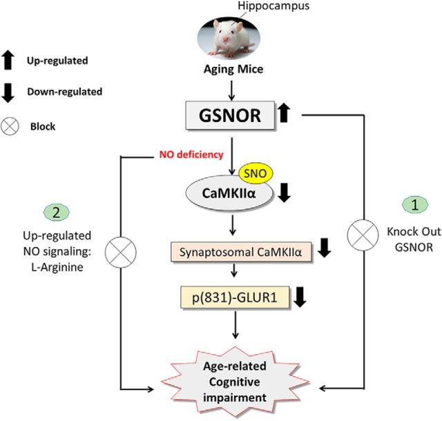 Figure 11.