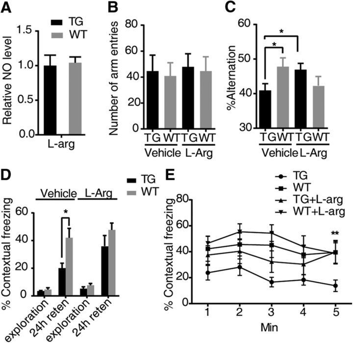 Figure 10.