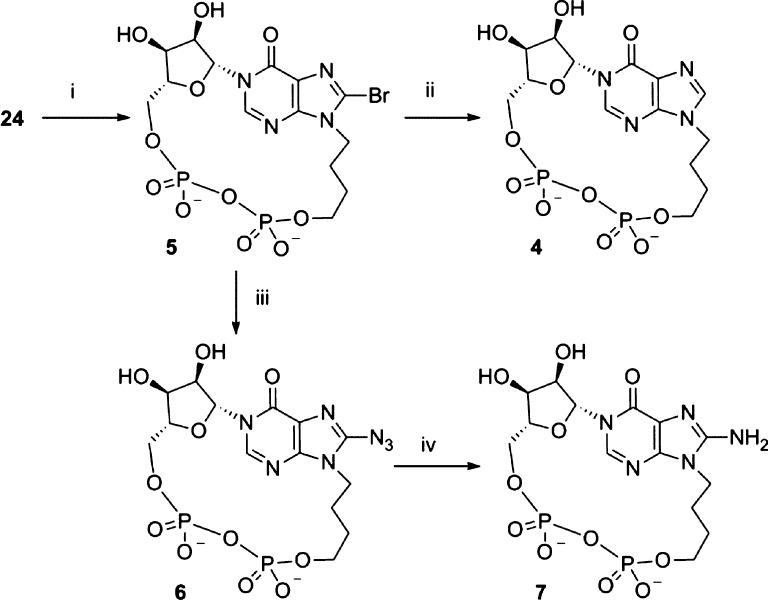 Scheme 3